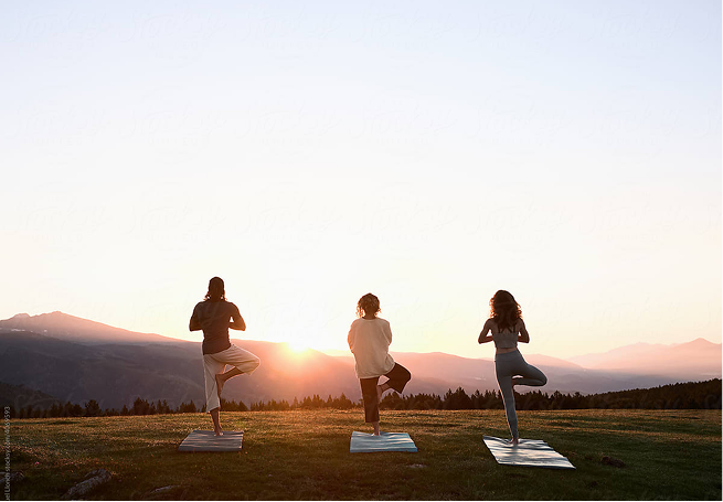 Wellness